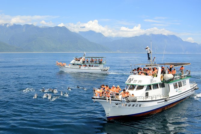 Taiwan Hualien Whale Watching Dolphin - The Captain and Onboard Interpretation