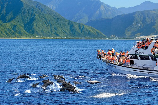 Taiwan Hualien Whale Watching Dolphin - Who Will Enjoy This Cruise Most?