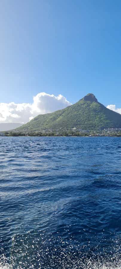 Tamarin: Dolphin Snorkel, CrystalRock, ile o Benitiers Lunch - Is $77 good value?