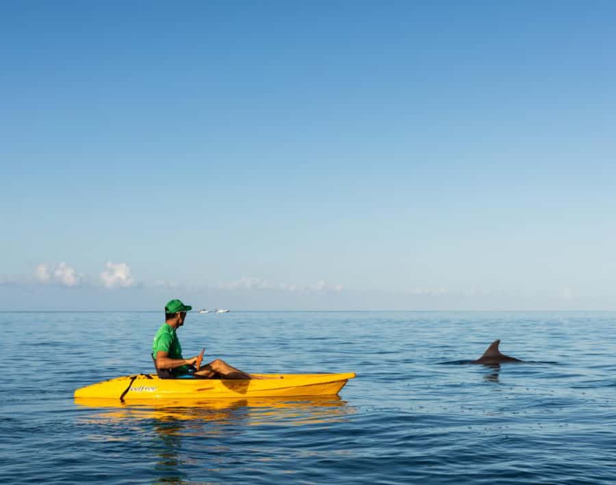 Tamarin: Guided Kayak Tour with Dolphins - Key points before you book