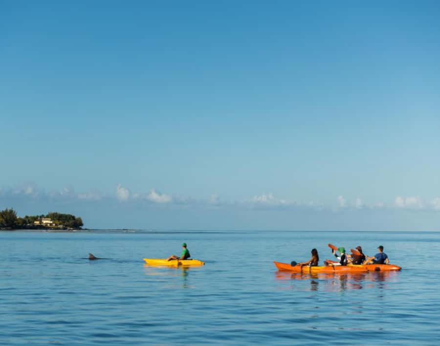 Tamarin: Guided Kayak Tour with Dolphins - Sunrise at Tamarin Beach sets the tone