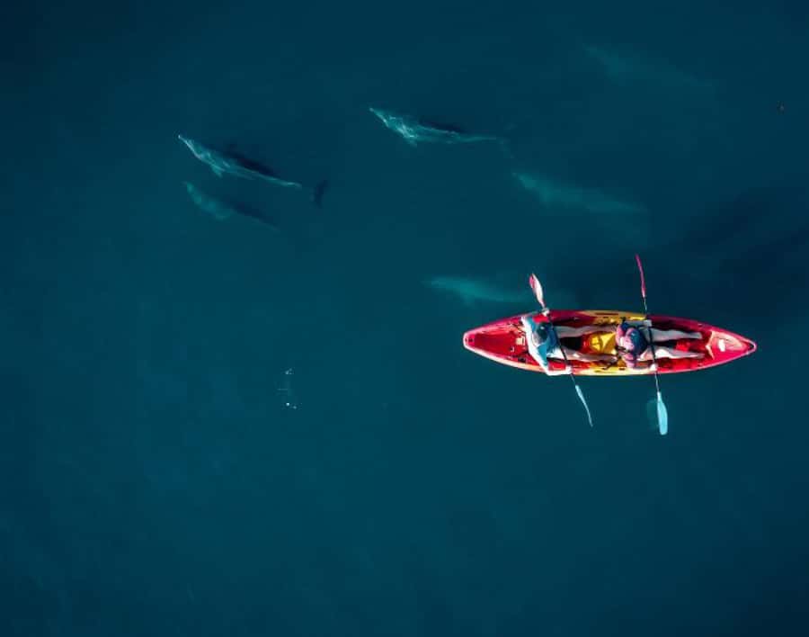 Tamarin: Guided Kayak Tour with Dolphins - Paddling into Tamarin Bay