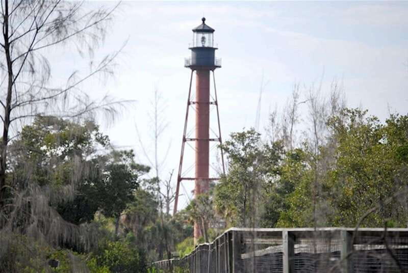 Tarpon Springs: Evening Dolphin Cruise - Key points to know before you go
