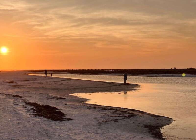 Tarpon Springs: Evening Dolphin Cruise - Time ashore on Anclote Key