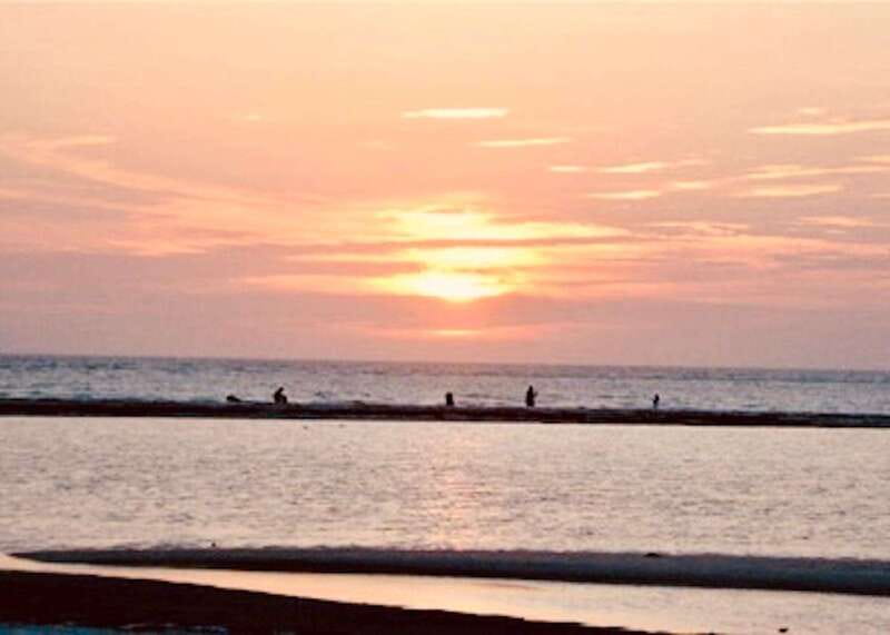Tarpon Springs: Evening Dolphin Cruise - Drinks, snacks, and the overall comfort level
