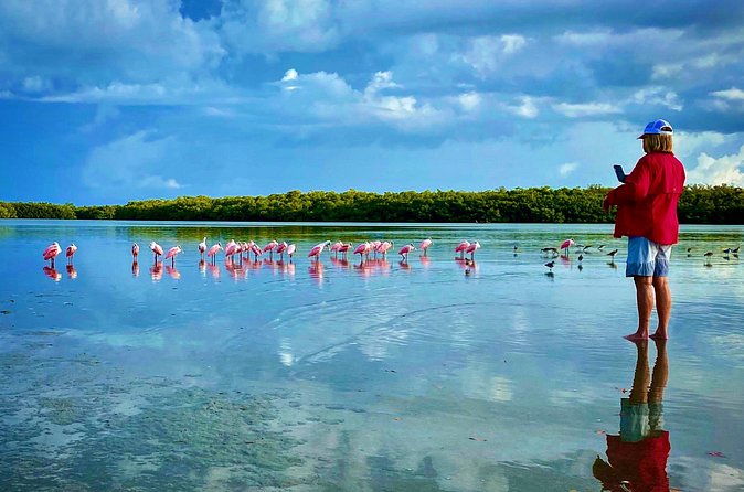 Ten Thousand Islands Eco/Dolphin Tour - Practical details for a smoother day