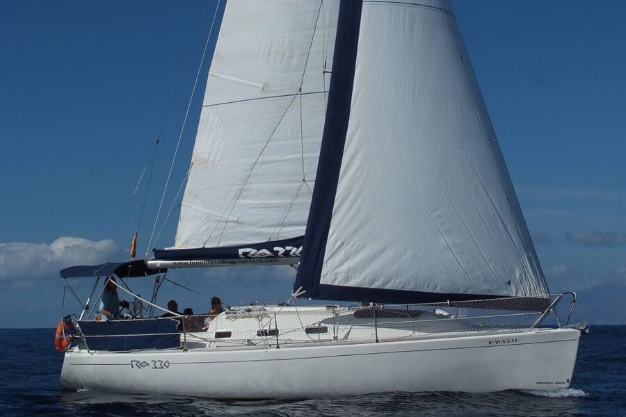 Tenerife: 3 &-6 Hour Private Whale & Dolphin Watching - Food, Drinks, and the Captain’s Style