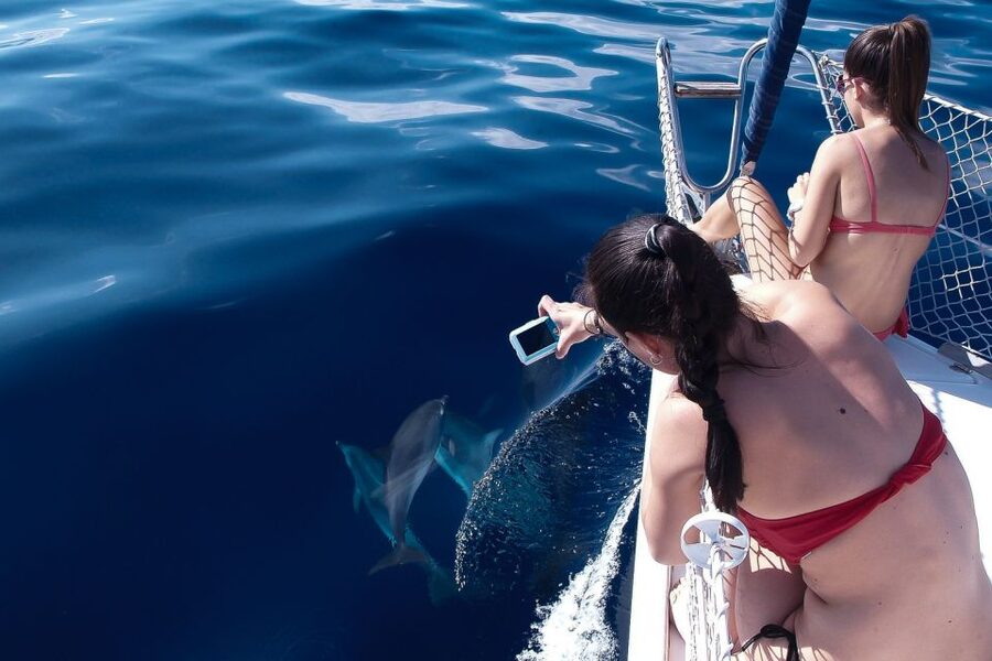 Tenerife: 3 &-6 Hour Private Whale & Dolphin Watching - Should You Book the Tenerife Whale and Dolphin Charter?