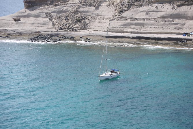 Tenerife 3-Hour Discover Whales and Dolphins - Key points to know before booking