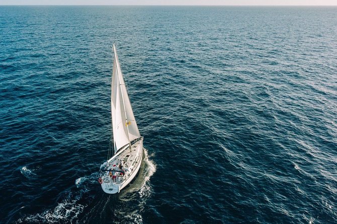 Tenerife 3-Hour Discover Whales and Dolphins - Practical details that can save you trouble