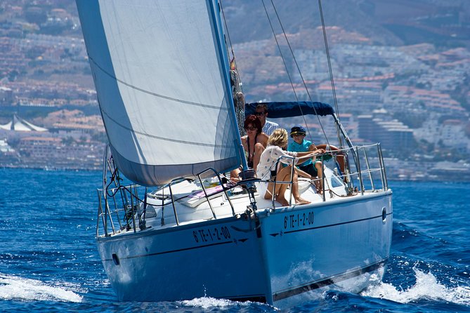 Tenerife 3-Hour Discover Whales and Dolphins - Leaving Puerto Colón for Tenerife’s cetacean zone
