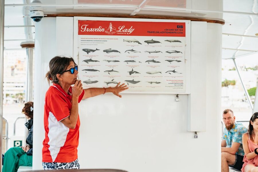 Tenerife: Eco-Yacht Whale and Dolphin Watching and Swimming - The boat ride and the first wildlife search