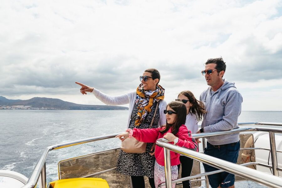 Tenerife: Eco-Yacht Whale and Dolphin Watching and Swimming - Passing Palm-Mar and the Cave of Love