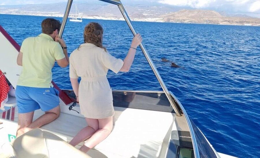 Tenerife: Eco-Yacht Whale and Dolphin Watching and Swimming - Eco features that matter on a short trip
