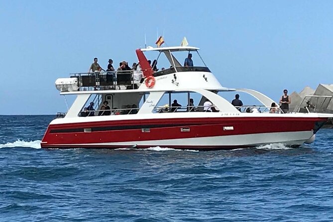 Tenerife Los Cristianos: Whale and Dolphin Eco-Yacht and Swim Stop - How the timing affects your day