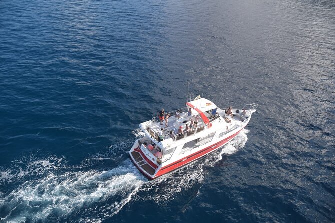 Tenerife Los Cristianos: Whale and Dolphin Eco-Yacht and Swim Stop - Comfort, seating, and the group size