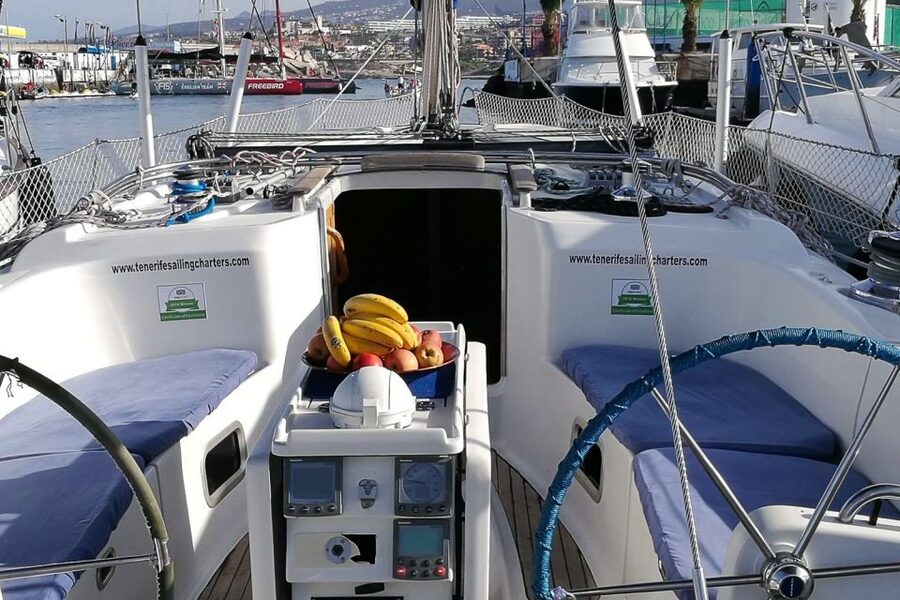 Tenerife: Luxury Private Whale & Dolphin Watching Tour - Key Points Before You Book