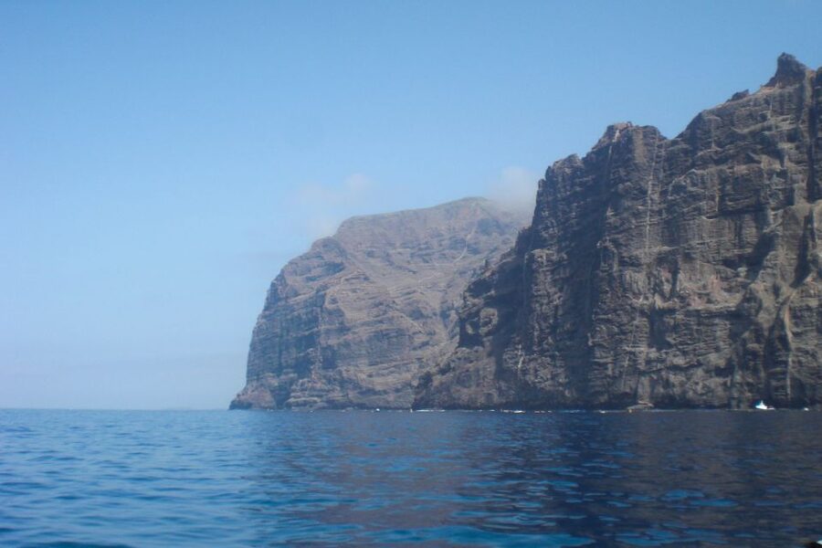 Tenerife: Luxury Private Whale & Dolphin Watching Tour - Dolphins, Turtles, and the Value of a Private Boat