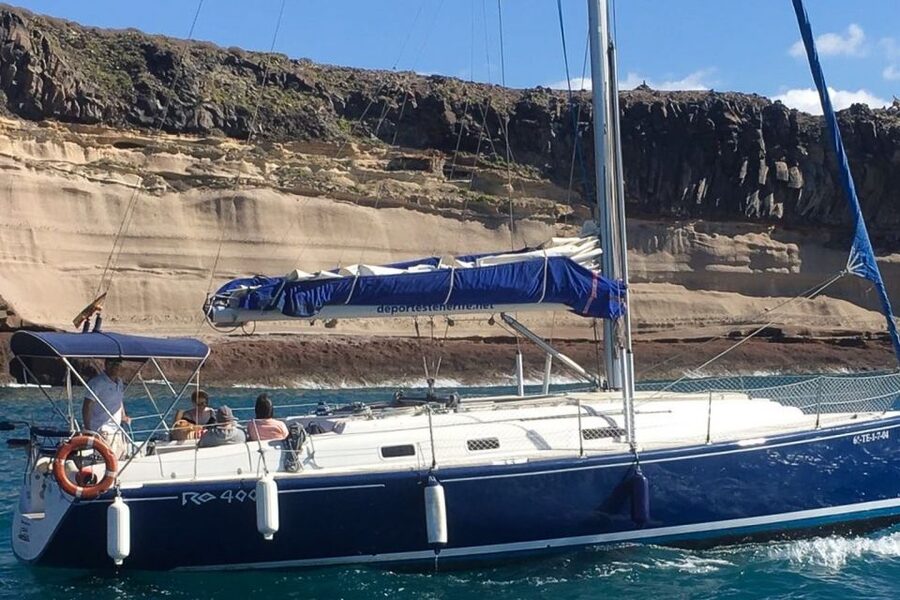 Tenerife: Luxury Private Whale & Dolphin Watching Tour - A Secluded Bay for Swimming and Snorkeling