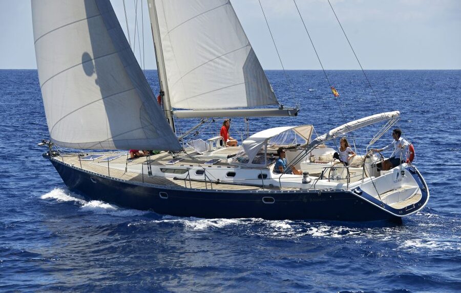 Tenerife: Sailing Excursion with Whale and Dolphin Watching - Key points to know before booking