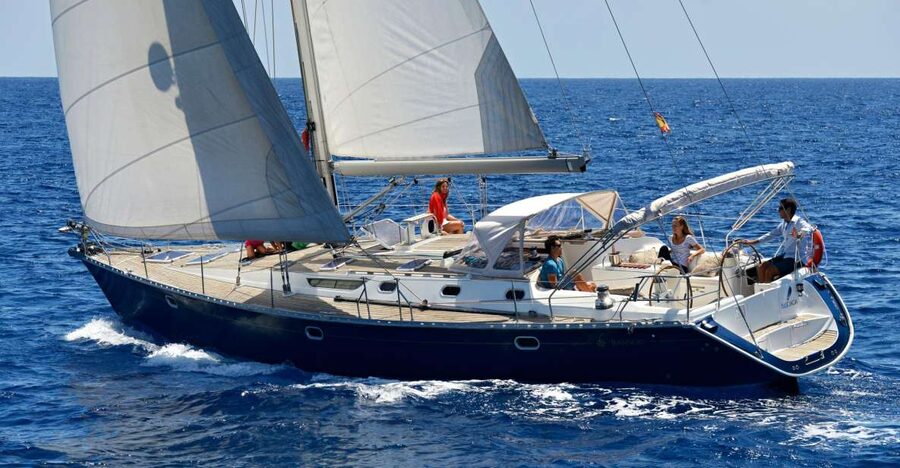 Tenerife: Sailing Excursion with Whale and Dolphin Watching - Sailing past Tenerife’s southern coast