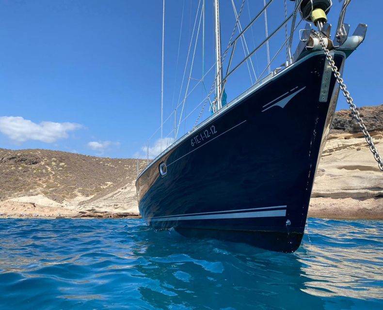 Tenerife: Sailing Excursion with Whale and Dolphin Watching - Should you book the Tenerife yacht trip?