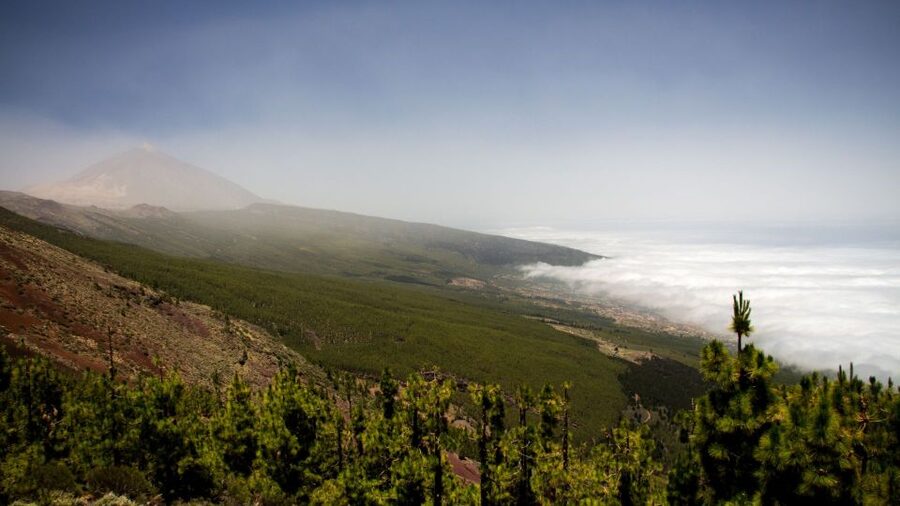 Tenerife: Teide National Park and Dolphins Sailboat Tour - Should you book the Teide and sailboat tour?