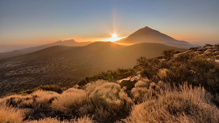Tenerife: Teide National Park and Dolphins Sailboat Tour - Why this combination works so well