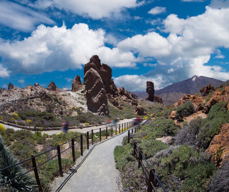 Tenerife: Teide National Park and Dolphins Sailboat Tour - Food, drinks, and what to pack