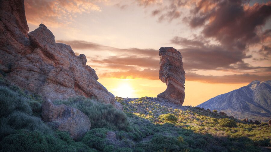 Tenerife: Teide National Park and Dolphins Sailboat Tour - Who should book this Tenerife day?