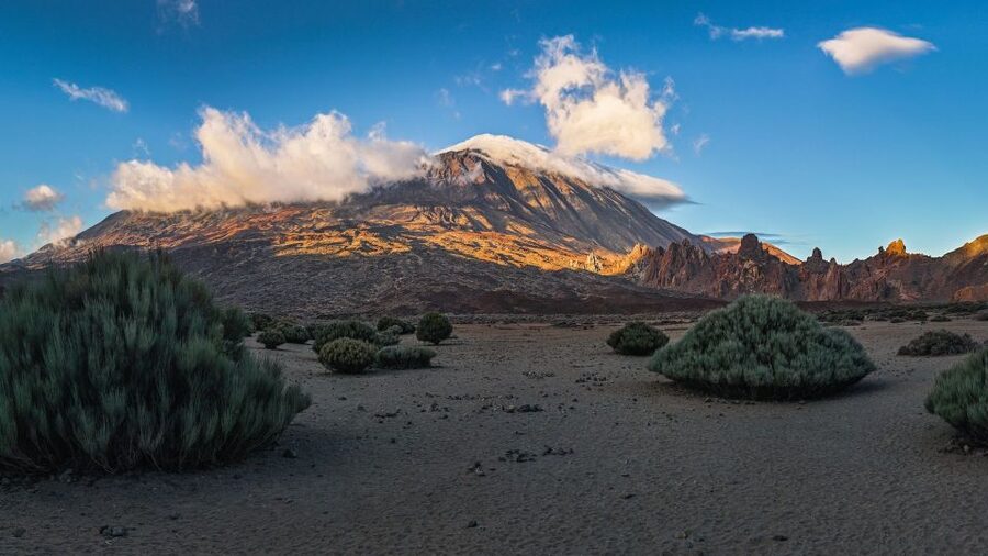 Tenerife: Teide National Park and Dolphins Sailboat Tour - Hotel pickup and a route shaped by your location