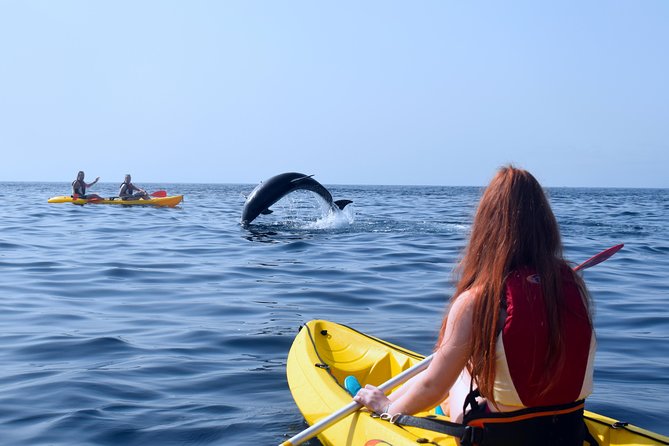 Tenerife: Turtle & Dolphin Kayak Tour with Snorkel & Wetsuit - The snorkeling stop, fish, and clear water