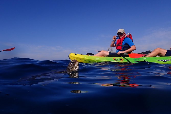 Tenerife: Turtle & Dolphin Kayak Tour with Snorkel & Wetsuit - The return paddle and Mount Teide views