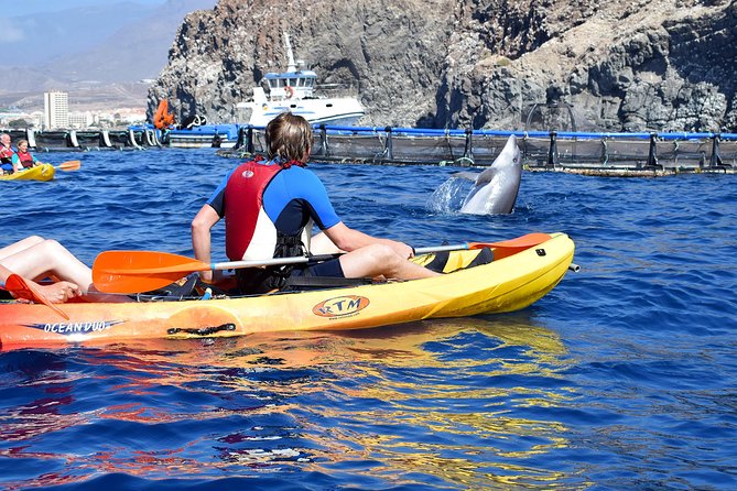 Tenerife: Turtle & Dolphin Kayak Tour with Snorkel & Wetsuit - Guides, safety, and the group experience