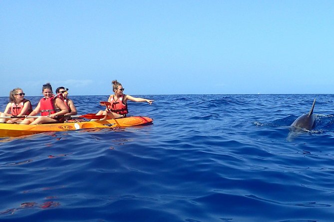 Tenerife: Turtle & Dolphin Kayak Tour with Snorkel & Wetsuit - Who should book this Tenerife kayak tour?