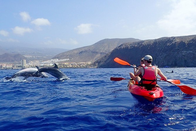 Tenerife: Turtle & Dolphin Kayak Tour with Snorkel & Wetsuit - Looking for dolphins near the coast