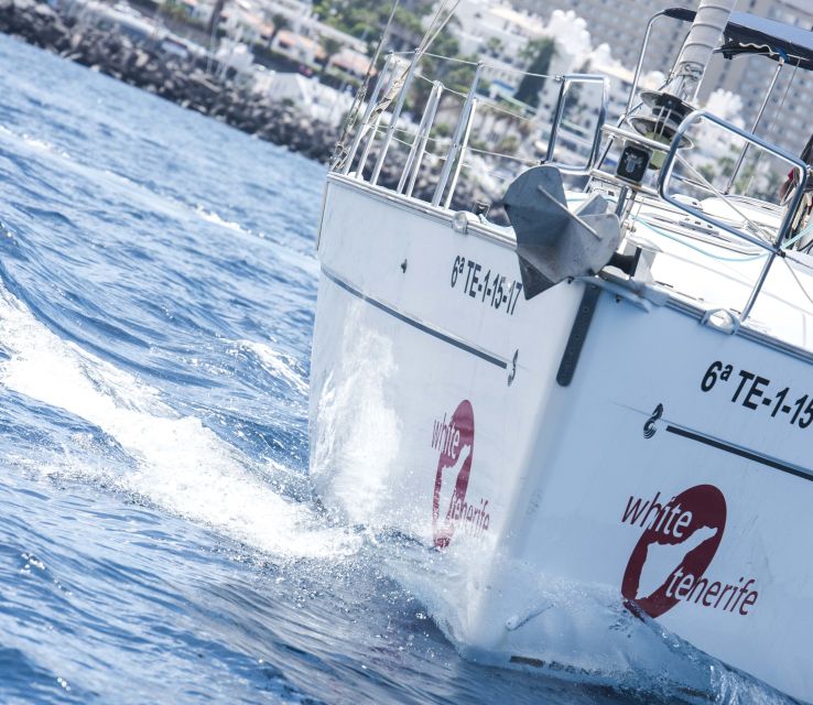 Tenerife: Whale and Dolphin Watching Tour by Sailboat - Should you book the White Tenerife whale tour?
