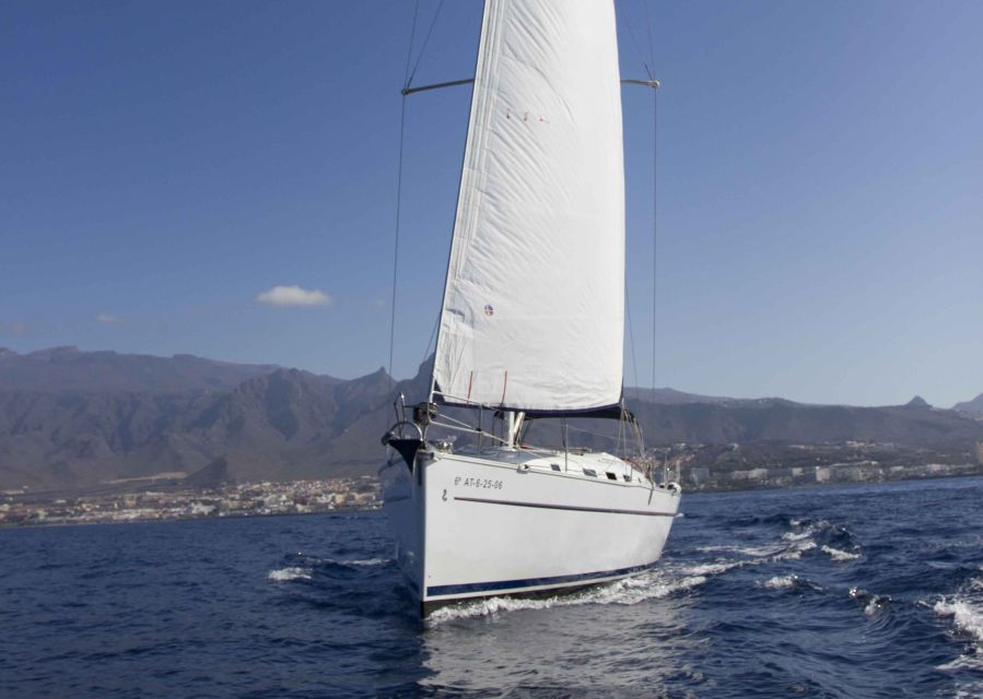 Tenerife: Whale and Dolphin Watching Tour by Sailboat - What the Blue Boat setting adds