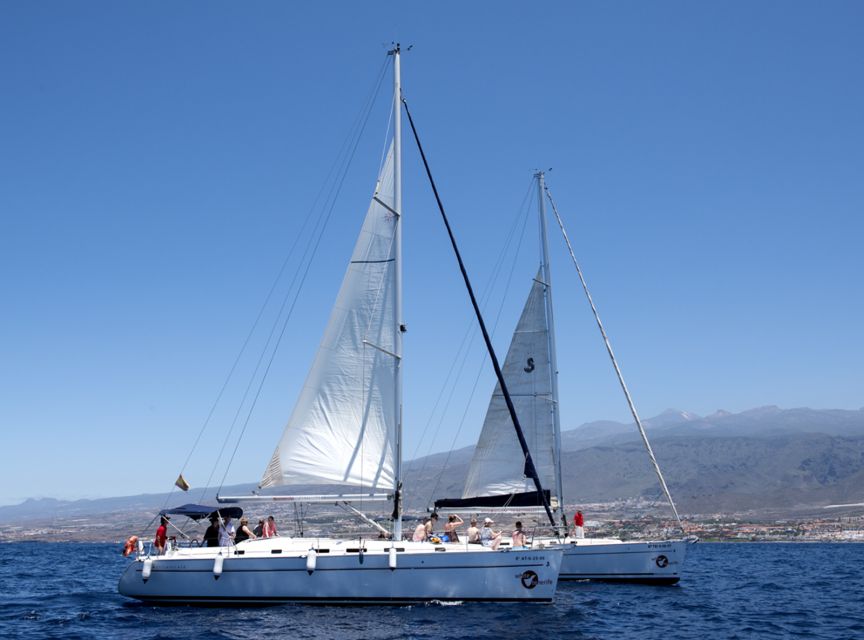Tenerife: Whale and Dolphin Watching Tour by Sailboat - Food, drinks, and time on deck