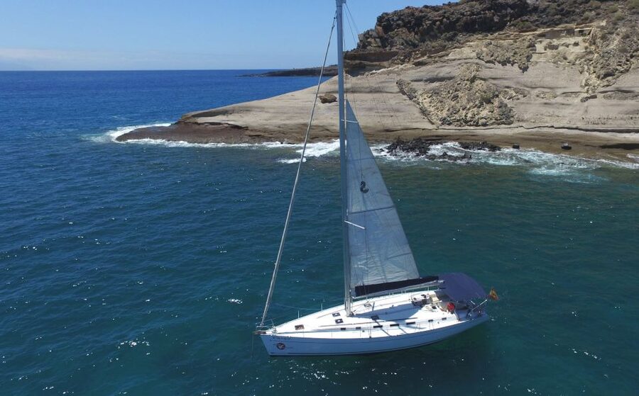 Tenerife: Whale and Dolphin Watching Tour by Sailboat - Searching for dolphins and pilot whales