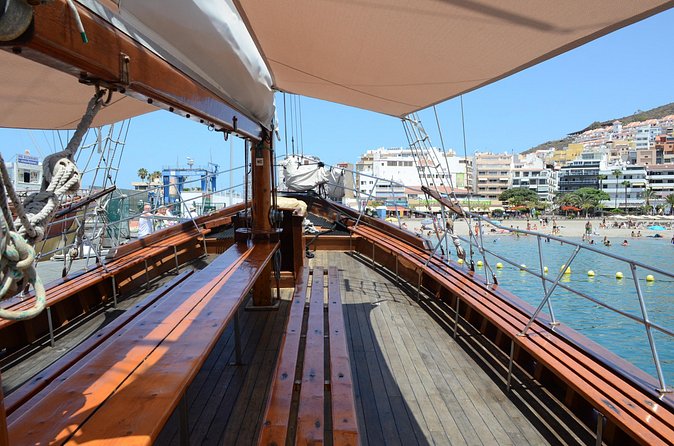 Tenerife: Whale and Dolphin Watching with a Plunge - Is $30.25 good value?