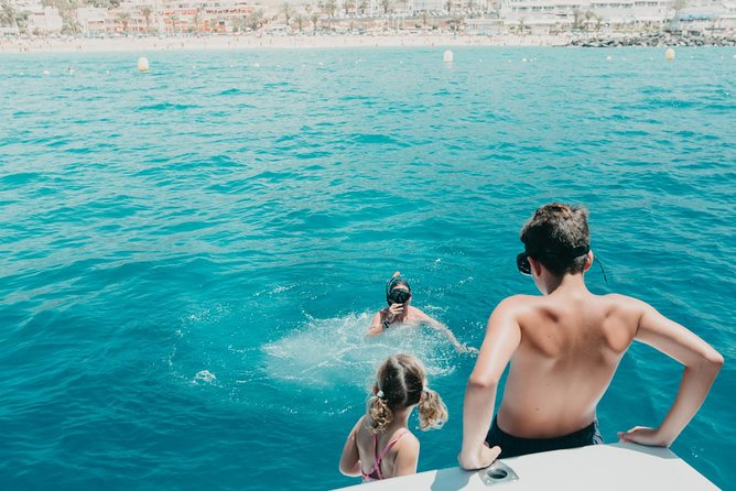 Tenerife: Whale and dolphin watching - Why the crew makes such a difference