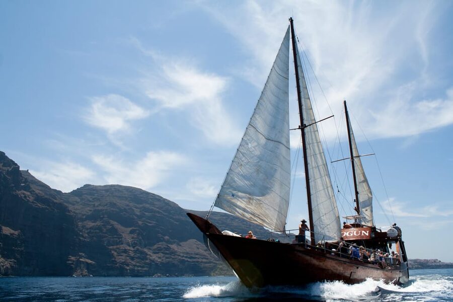 Tenerife: Whale & Dolphin Watching Cruise with Swim Stop - Sea conditions, comfort, and what to bring