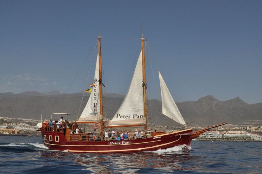 Tenerife: Whale & Dolphin Watching Cruise with Swim Stop - Is $29 good value for two hours?