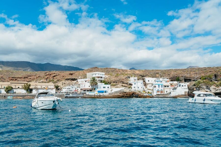 Tenerife: Whale & Dolphin Watching with Drinks and Snacks - Who should book this Tenerife yacht trip?