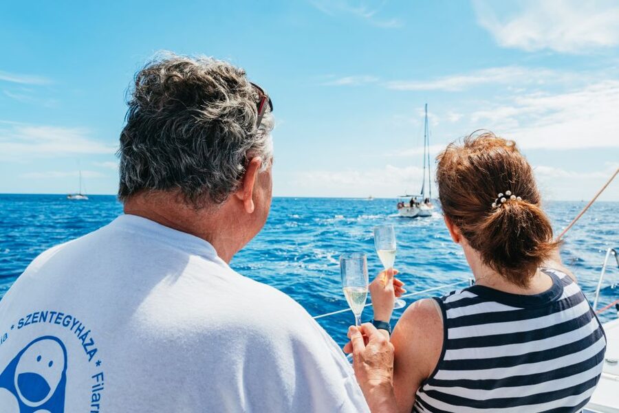 Tenerife: Whale & Dolphin Watching with Drinks and Snacks - The secluded bay and turtle swim