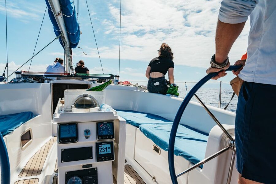 Tenerife: Whale & Dolphin Watching with Drinks and Snacks - Practical planning before you book