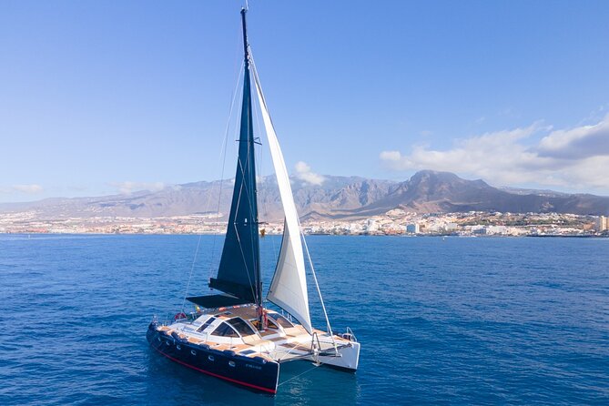 Tenerife Whales and Dolphins Watching Experience in Catamaran - Sandwiches, beer, and an easygoing onboard break