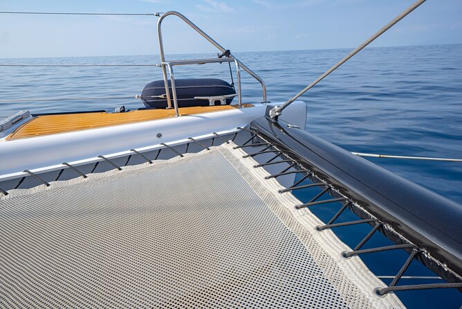 Tenerife Whales and Dolphins Watching Experience in Catamaran - What the $68.98 price really buys you
