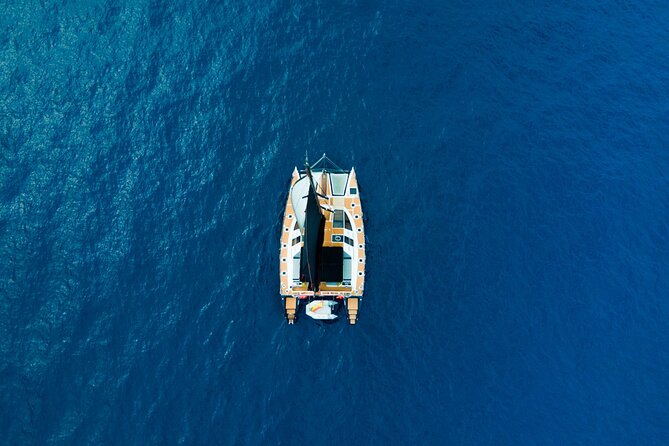 Tenerife Whales and Dolphins Watching Experience in Catamaran - Simple ways to get more from the three hours